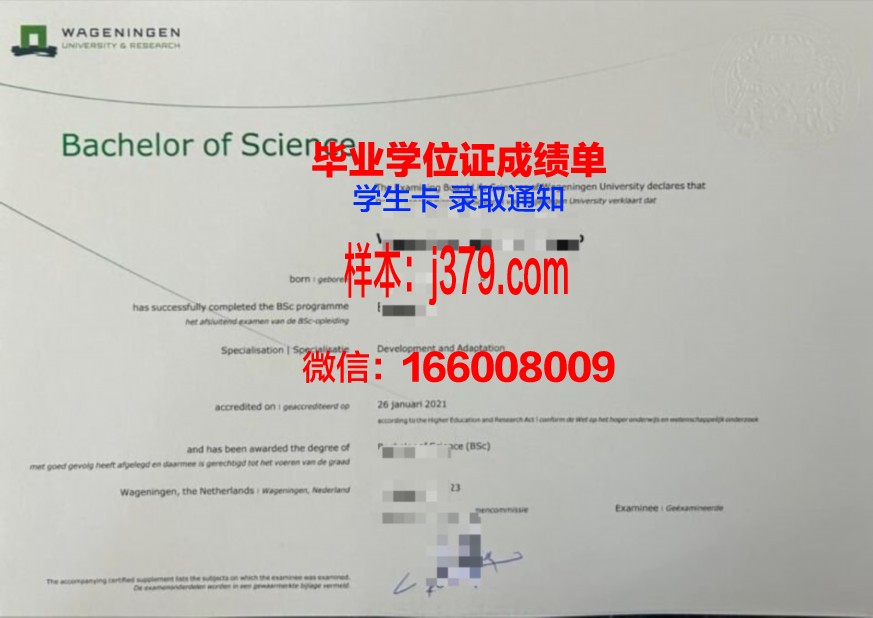 赛城大学本科毕业证书