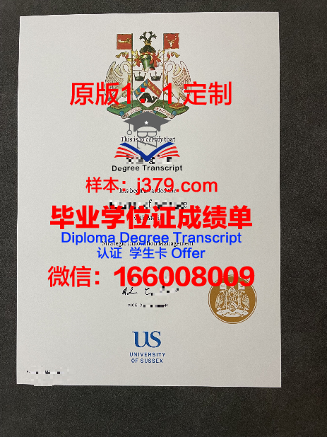 茨维考西萨克森应用技术大学毕业证样本(萨塞克斯大学毕业典礼)