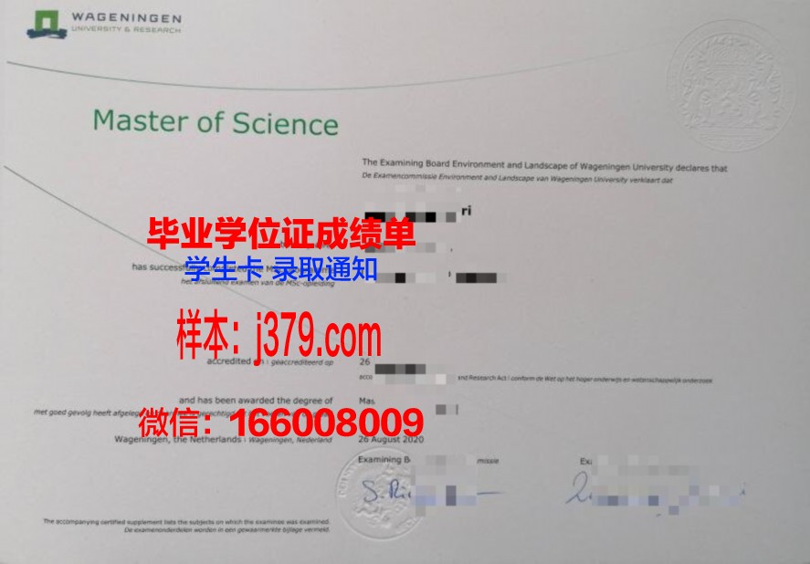 梨女毕业生毕业证丢失，如何快速补办？