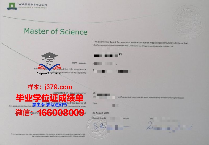 黎大毕业证成绩单：完整版成绩解读与评估