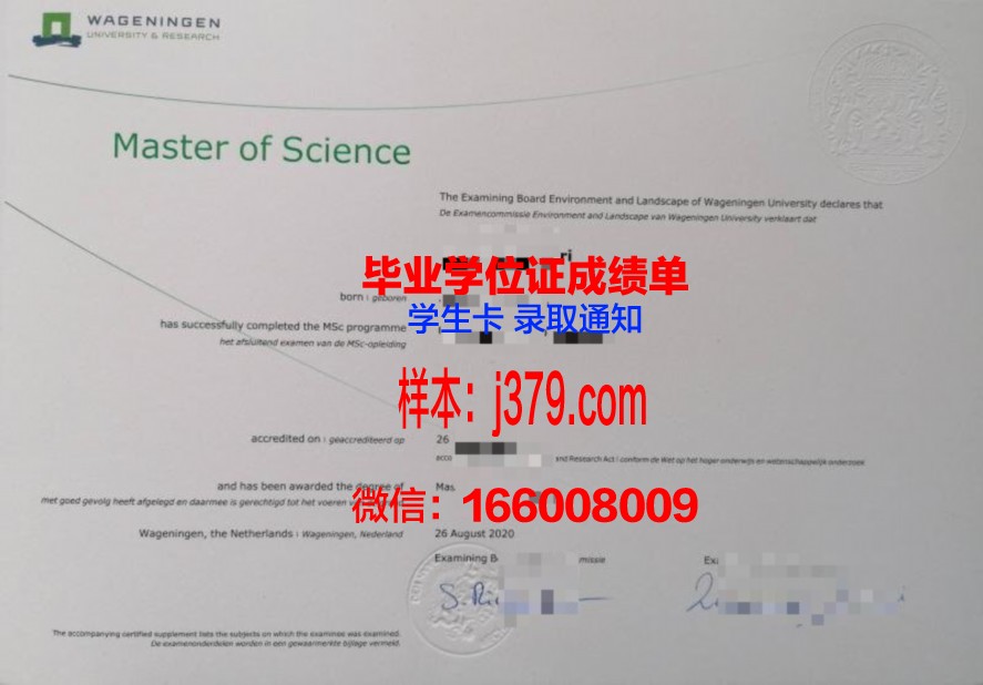 伯贝硕士毕业证图片：见证知识与智慧的结晶