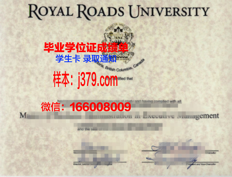 丰桥技术科学大学研究生学位证书颁发