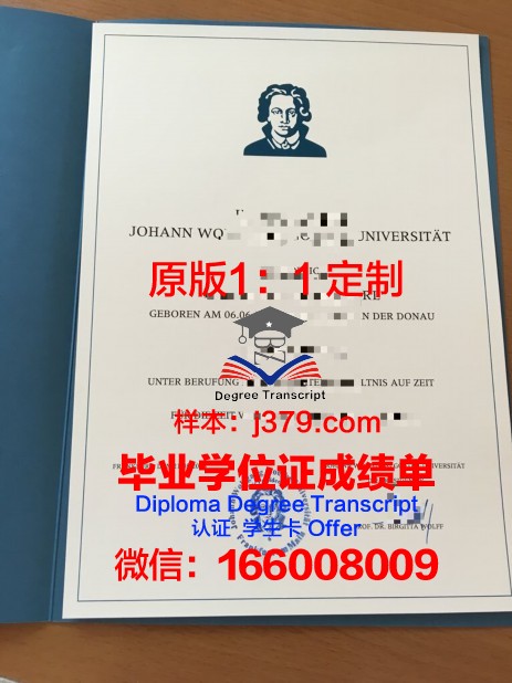 法兰克福造型艺术学院毕业证书设计样式