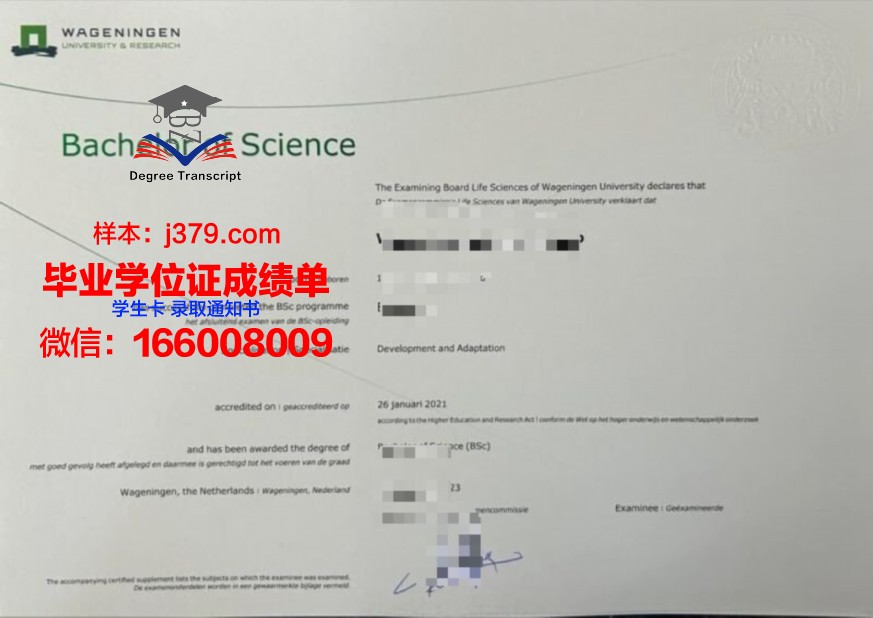工程学院本科证书颁发仪式盛况
