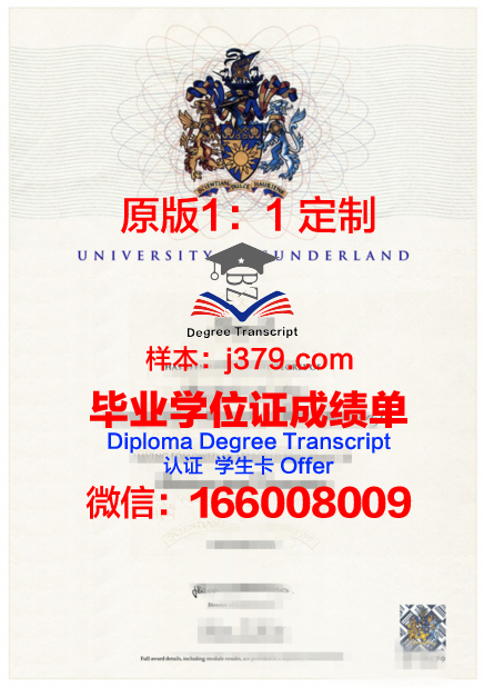 国家伊斯兰大学学位证书图片览阅