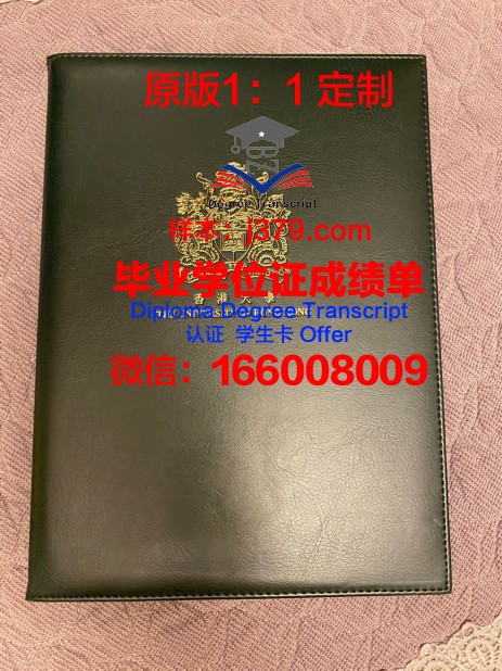 冲绳科技大学研究生院毕业证书外壳
