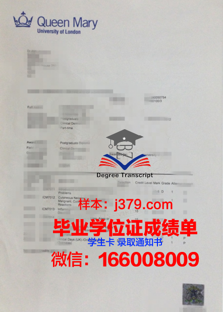 玛丽-维克多汉学院学位证书外壳