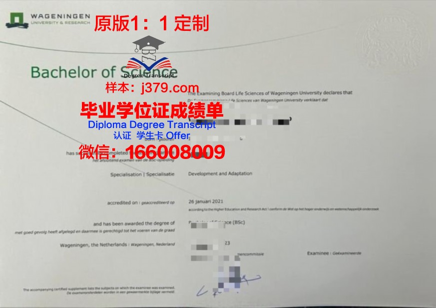 圣德本科毕业资格证书