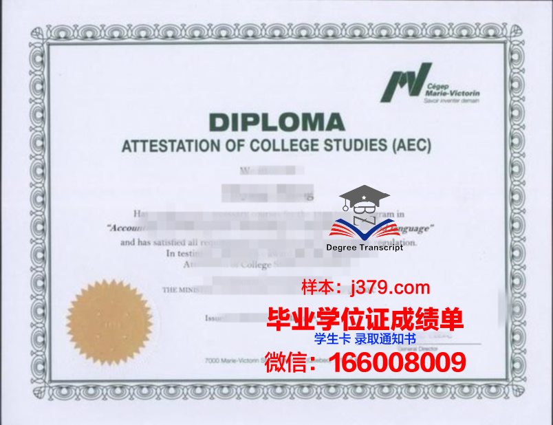 官方发布：坦大毕业证书样本图片