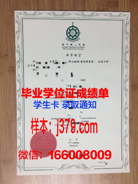 南士大毕业证丢失后补办攻略