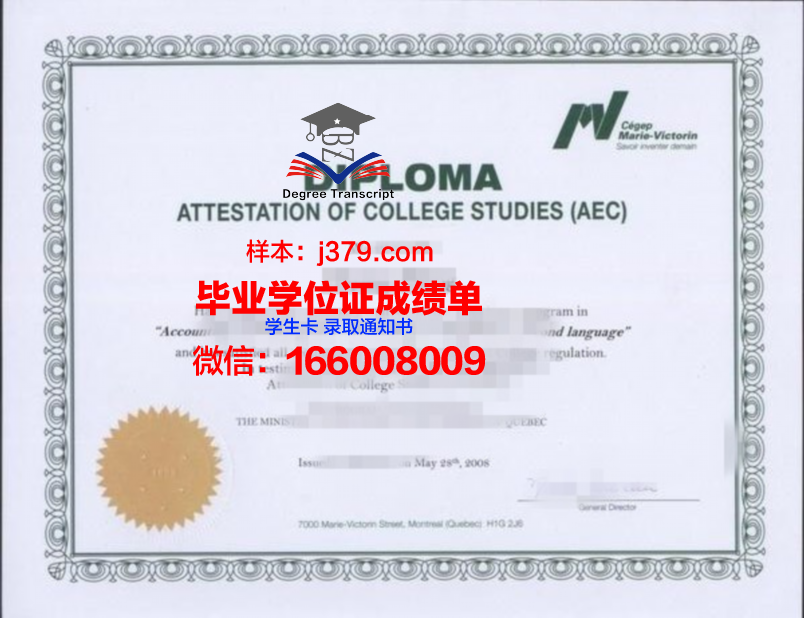 忠南大学博士证书样本展示与解读