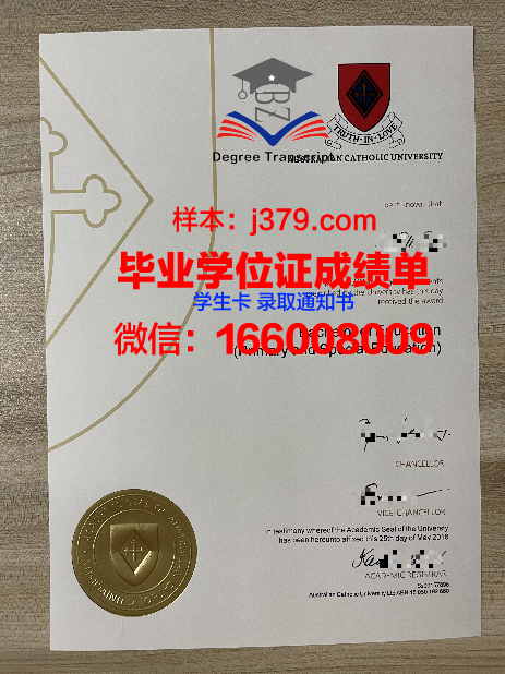 天主教大学里约热内卢分校毕业证书保护套