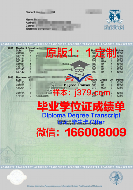 哈韦大成绩单：一路走来，成绩斐然