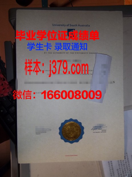 南澳大学博士证书：专业领域的研究成果