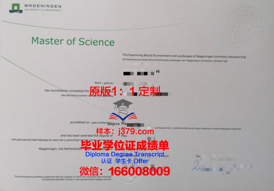崔瓦卡纳塞廉大学毕业证图片Trevecca Nazarene University Diploma