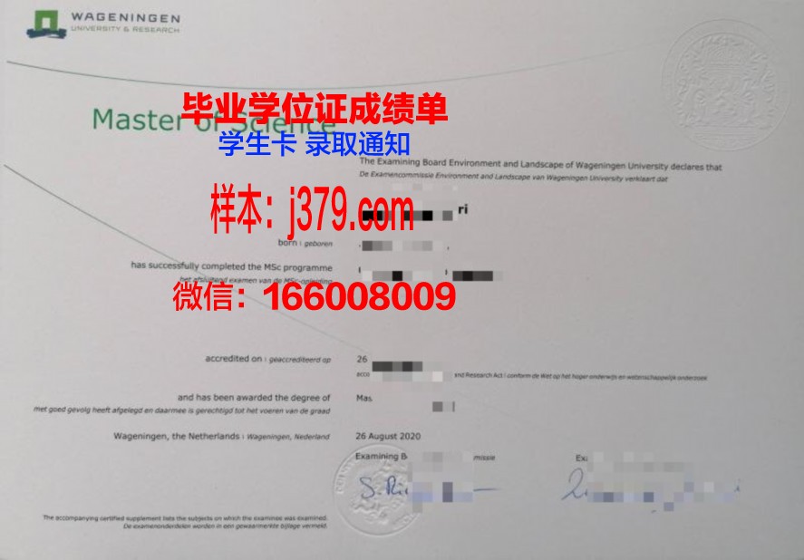 犹大大硕士证书：专业课程设置一览