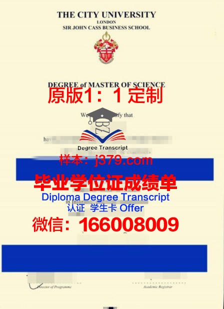 卡斯大毕业证书保护套