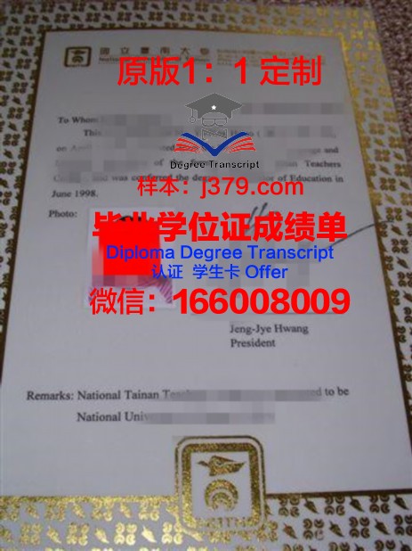 埃因霍温大本科证书对应专业一览