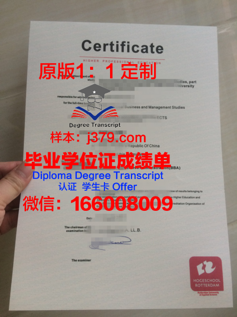 鹿特丹商学院毕业证Diploma文凭