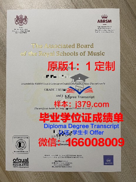 越南岘港经济学院官方毕业证书图像展示