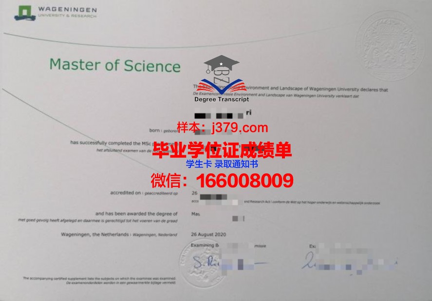 台医大毕业证电子版：申请与使用指南