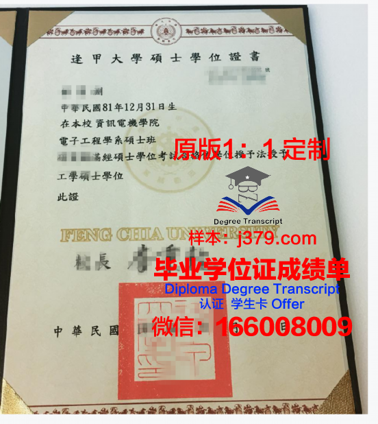 乌法国立石油技术大学学位证书设计样式