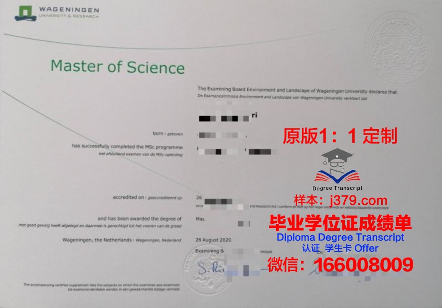 马堡大学毕业学位