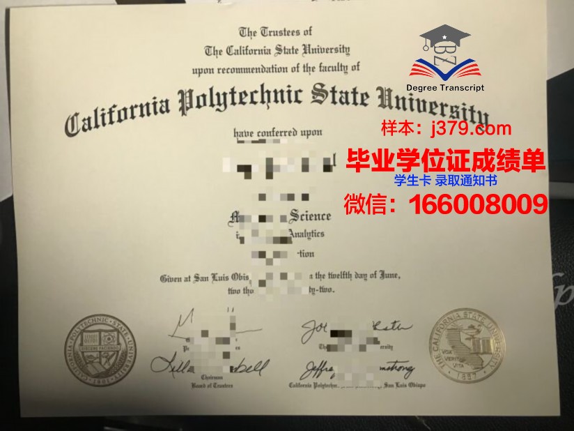 丹理工毕业证书样张展示