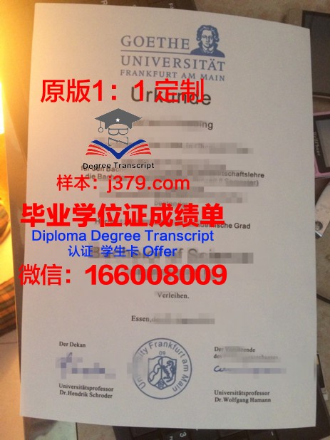法兰克福造型艺术学院毕业证书设计样式