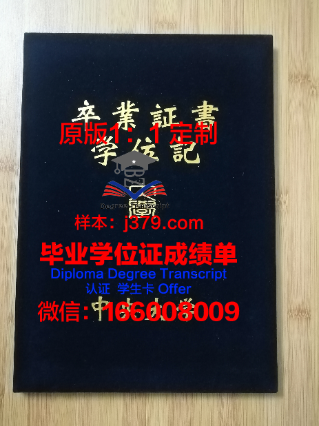 中央大学毕业证：价值与含金量分析
