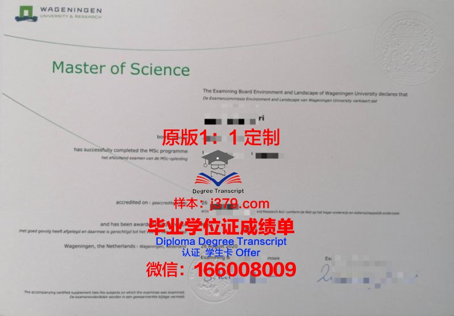 佩斯卡拉大学毕业证好找工作吗(佩斯大学值得上吗)