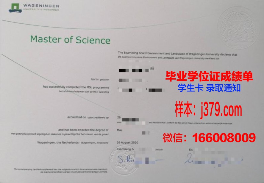 努大本科毕业证申请与审核流程