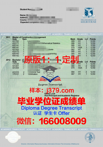 学生必备：圣大斯成绩单查询指南