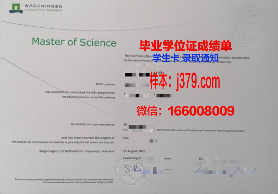 昆大硕士证书：导师风采与学术研究成果