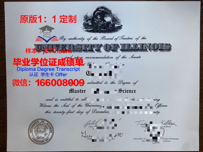 特伦大硕士证书：专业选择与课程设置解析
