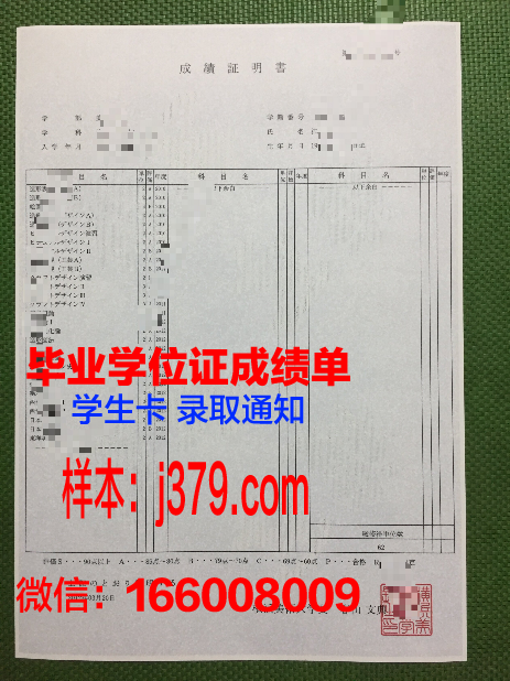 横滨系统工学院专门学校硕士毕业证：开启职业生涯的钥匙