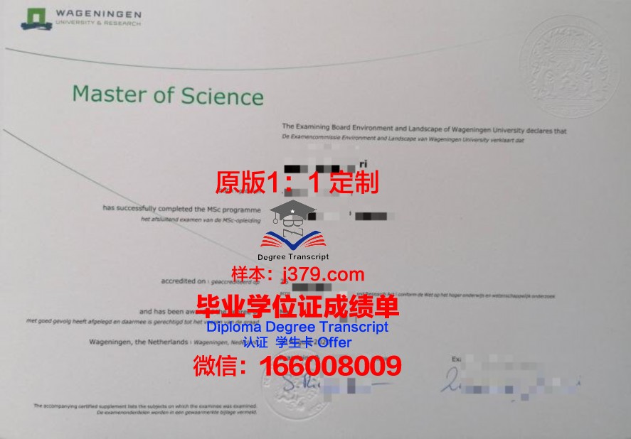 巴兰大学毕业证办理流程详解