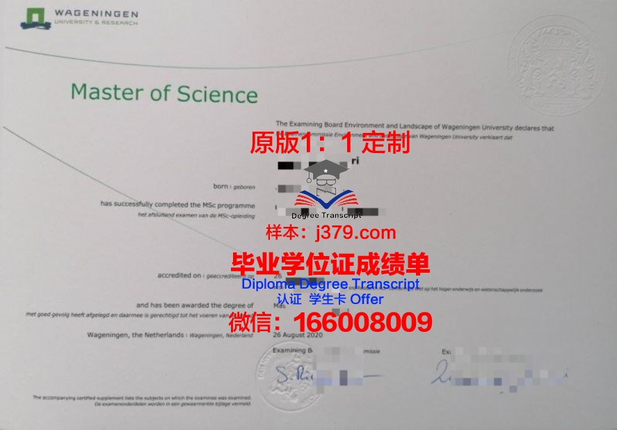 毕业证书之美：白罗大毕业证图片精选