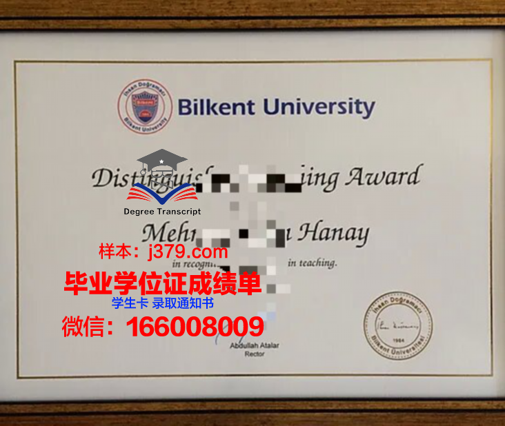 毕尔研究生证书：课程实践与项目经验分享