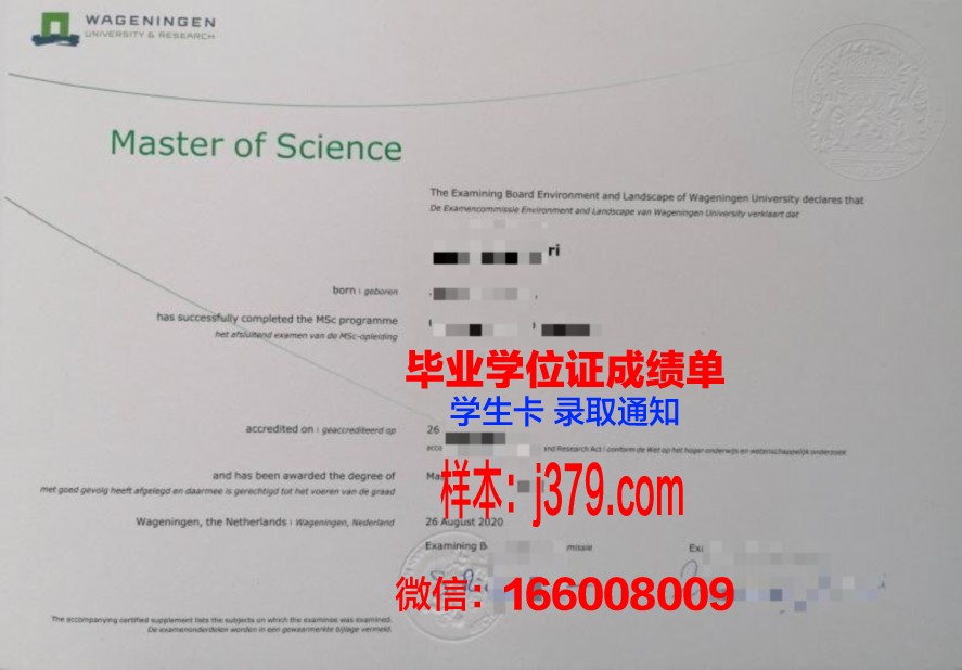 伍工研究生毕业证所代表的荣誉与价值