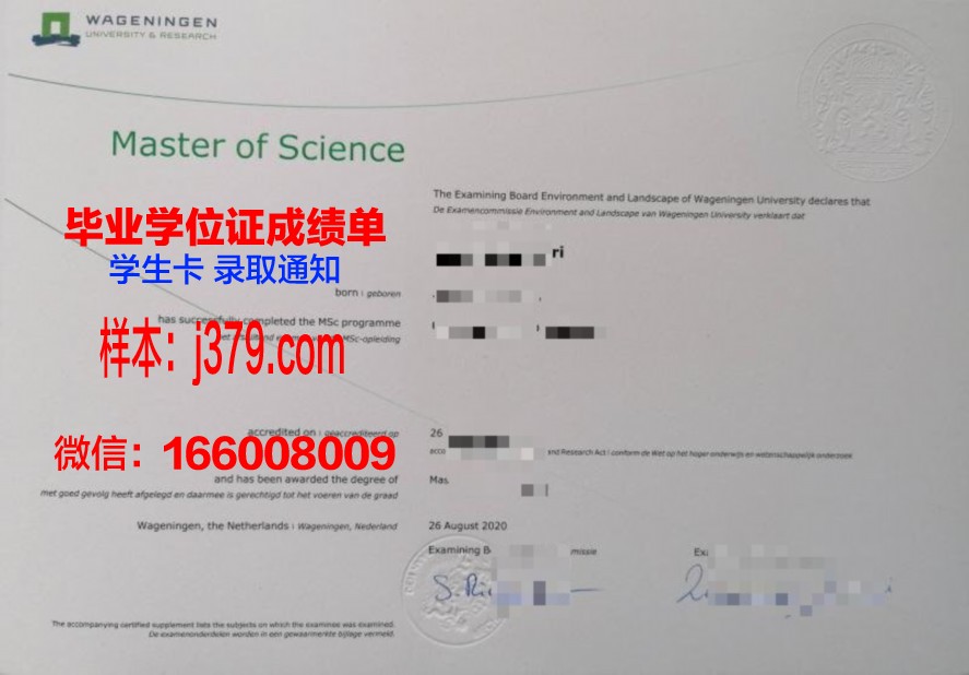 解读汉院本科毕业证上的关键信息