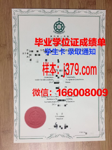 旧艺大硕士毕业证：时光的印记