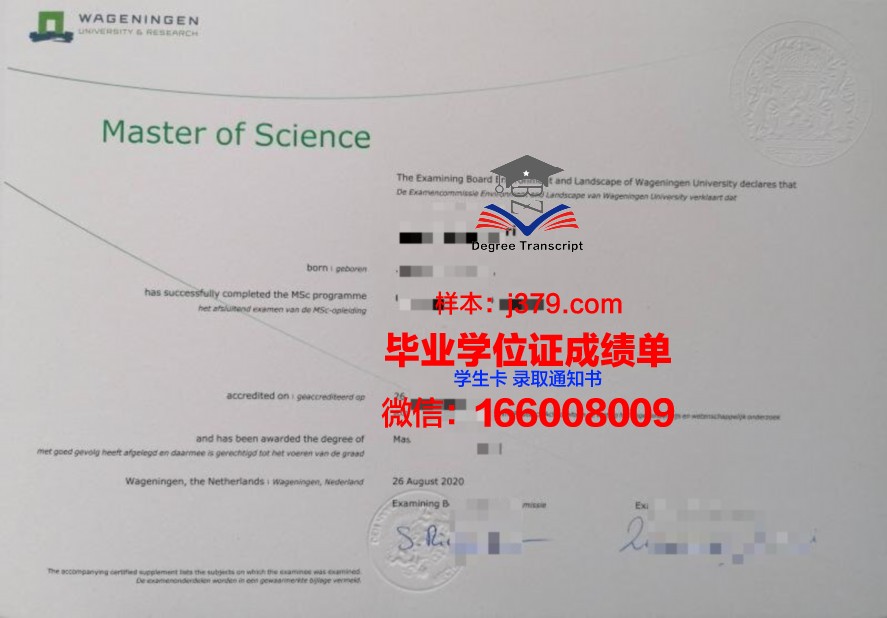 但丁大学中心证书成绩单(但丁是哪个大学的)