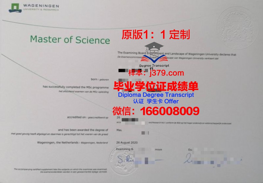 纳校毕业证学历在求职过程中的作用