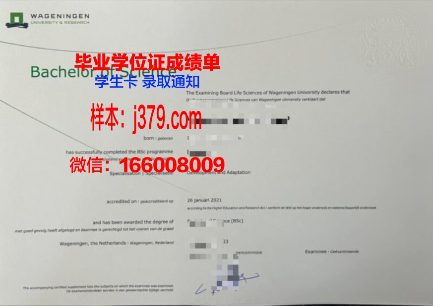 国能大学本科毕业证书
