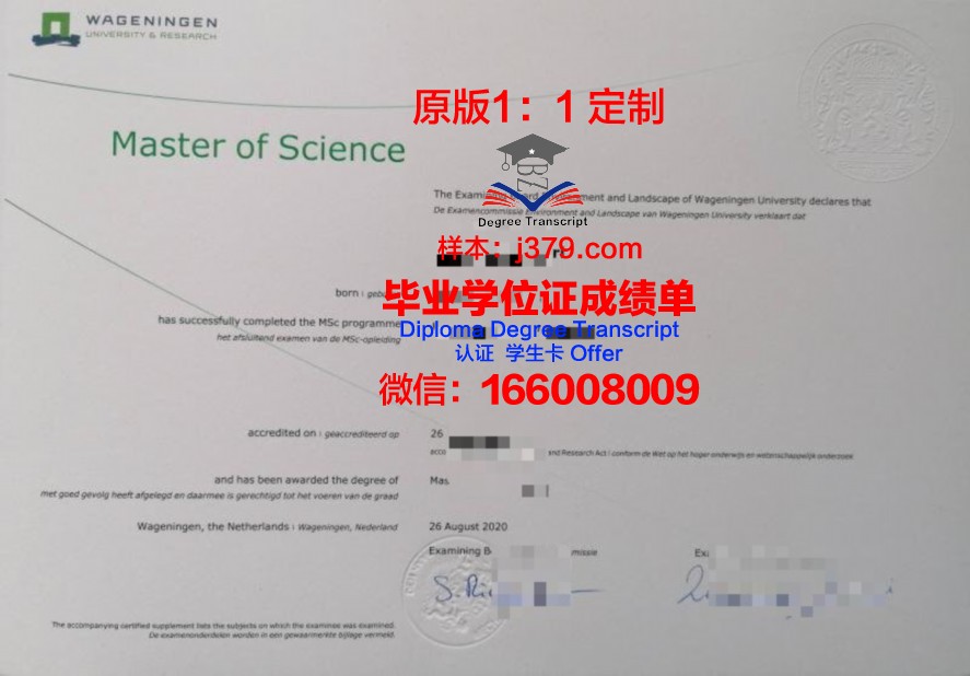 圣心校园毕业证补办流程，一步到位