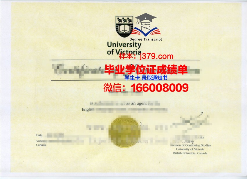 忠南大学博士证书样本展示与解读