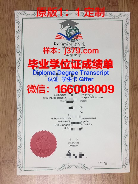 迪内大学硕士毕业证样本展示