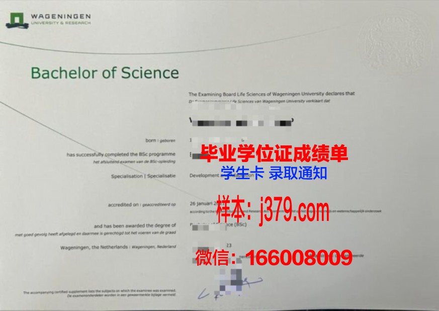 罗蒙诺索夫大学本科阶段毕业资格证书