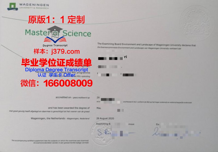 南佛大毕业证补办：所需材料及办理流程